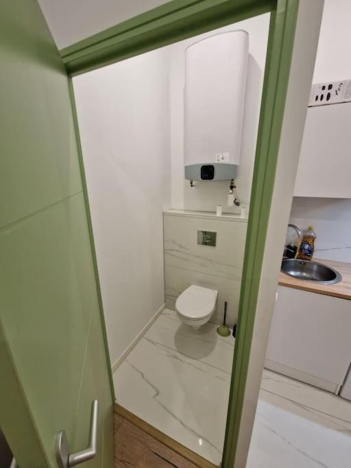 Magnifique Appartement De Type 2 แซงต์-เอเตียน ภายนอก รูปภาพ